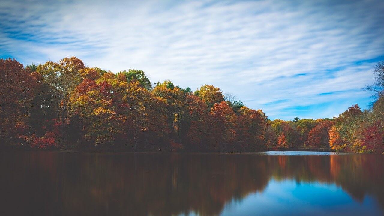 heures dorées pour un paysage d'automne