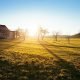 photo de campagne tôt le matin