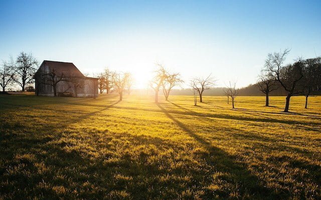 photo de campagne tôt le matin