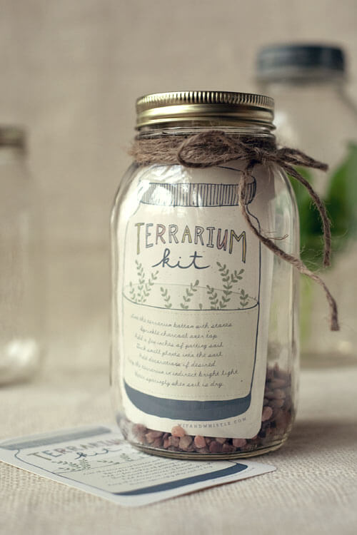 terrarium à faire soi-même