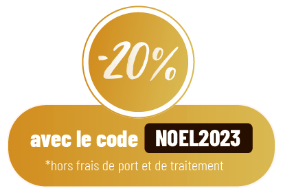 Réduction Noel 2023